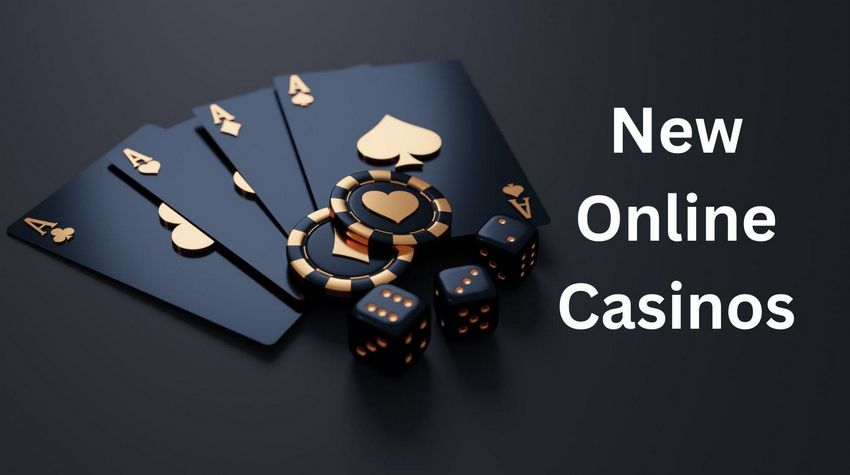 Programme VIP d’élite : Récompenses exclusives et avantages premium chez Neowordpress